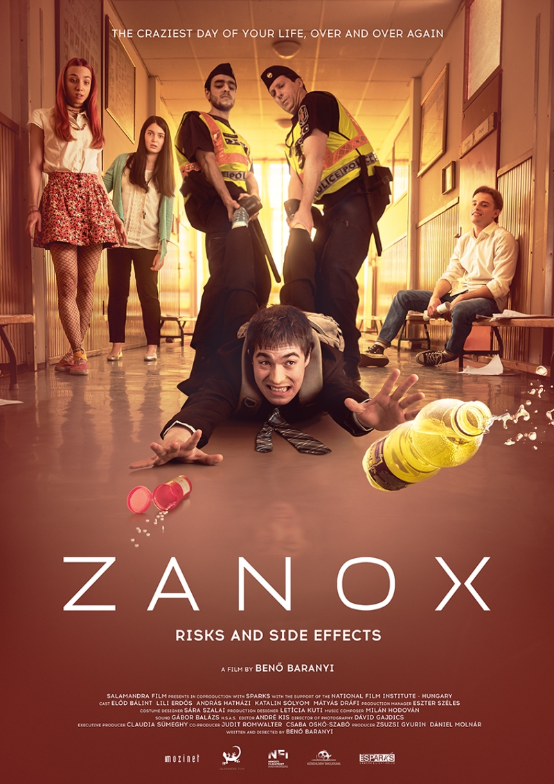 ZANOX - RISKS AND SIDE EFFECTS